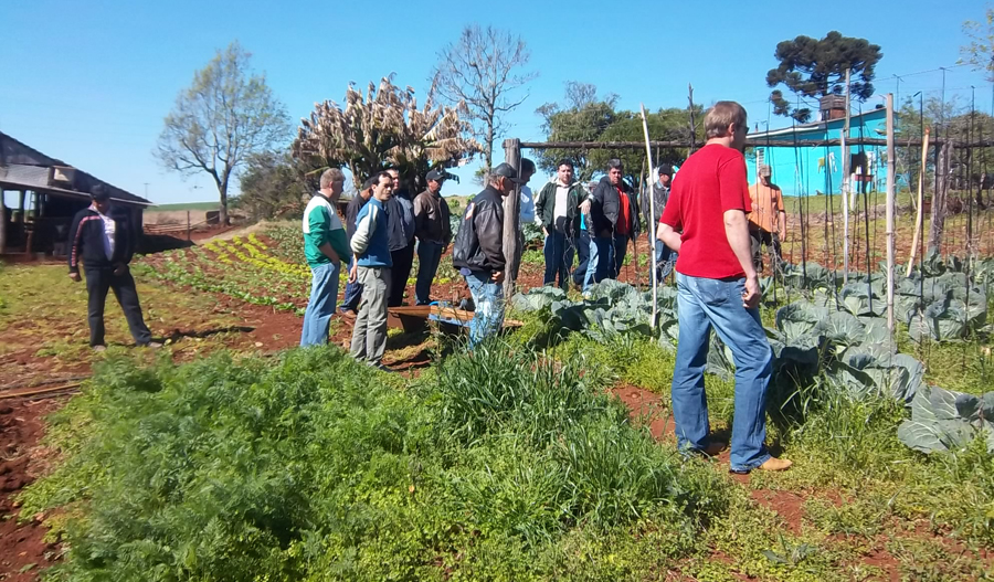 Comitiva são-luizense visitou indústria de pepinos